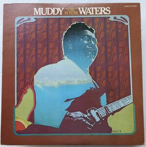 LP マディ・ウォーターズ MUDDY WATERS アンク イン・ファンク UNK IN FUNK SWX-6181