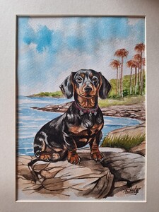 水彩画　可愛いDachshund 