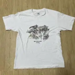 THE NORTH FACE アートプリント Tシャツ Lサイズ