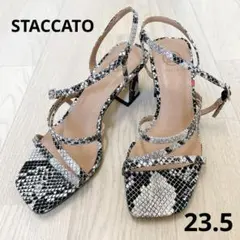 STACCATO パイソン柄　サンダル　23.5