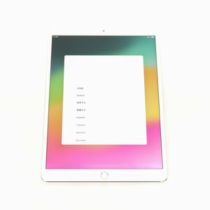 1円～【ジャンク】Apple iPadPro Wi-Fi+Cellular 256GB MPHH2J/A /10.5インチ/SIMフリー/iPadOS/シルバー【大阪出荷】