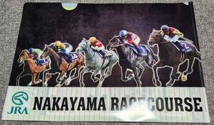 千葉ロッテマリーンズ JRA 中山競馬場 クリアファイル 佐々木朗希 澤村拓一 安田尚憲 藤原恭大 石川慎吾 小島和哉 種市篤暉 荻野貴司