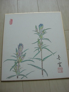 時代/古画 豊雲 花色紙画(古筆 古美術 書画 書法 茶道具 茶掛 まくり)*A-768