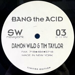 【ACID】【TECHNO】Damon Wild & Tim Taylor - Bang The Acid / Synewave SW 03 / VINYL 12 / US / F