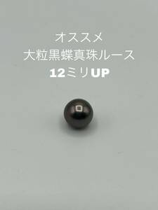 オススメ　大粒黒蝶真珠　片穴ルース　12ミリUP TH-001