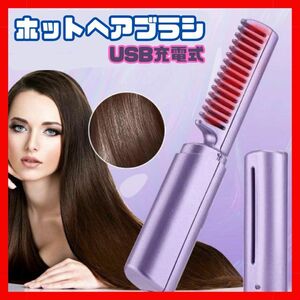 パープル ブラシ型 ヘアアイロン USB充電 ヒートブラシ ヘアスタイル コードレス コンパクト ミニサイズ 携帯用 前髪 ポーチ 新品 パステル