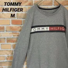 TOMMY HILFIGER ビッグプリント デカロゴ 長袖 ロンT グレー