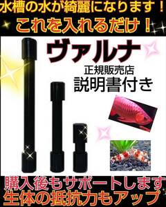 ホントに凄い！！【ヴァルナミニ23センチ】有害物質を強力抑制！透明度が抜群に☆水替えも不要になります！水槽に入れるだけ！説明書付き☆