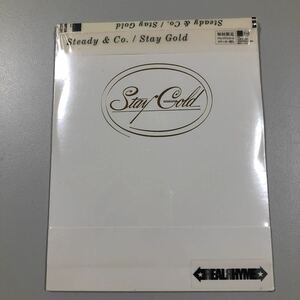 【20-09A】貴重なCDです！　Stedy & Co. Stay Gold 初回限定　ドラゴン・アッシュの降谷建志、スケボーキングのBOTS