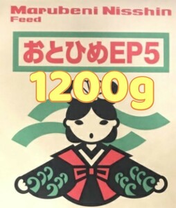 即日　おとひめEP５ 沈下性 1200g　コリドリス エイ キャット ダトニオ 低層魚　ナマズ　日清丸紅飼料