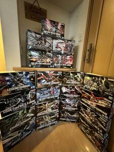 新品未開封 機動戦士ガンダムSEEDデスティニー SEEDFRREDAM HGガンプラ デスティニーガンダム他22点セット ズゴックおまけ付