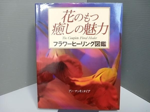 花のもつ癒しの魅力 アンマッキンタイア