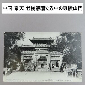 【絵葉書0130】中国 「奉天」 老樹鬱蒼たる中の東陵山門 / 戦前絵はがき 古写真 中国