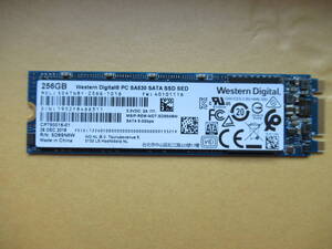 ★☆1円 ～スタート☆WDC SA530 SATA SSD M.2 2280 256GB 使用時間:8366H☆★