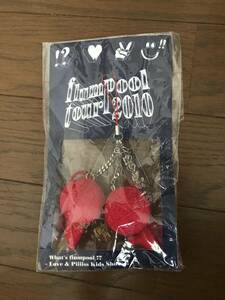 flumpool tour 2010 赤い糸人形