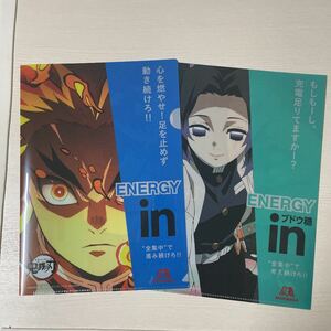 ウィダーインゼリー 鬼滅の刃 ローソン クリアファイル 煉獄千寿郎 竈門炭治郎 竈門禰豆子 胡蝶しのぶ 2枚セット