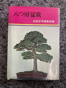 問題あり 八つ房盆栽 盆栽世界編集部編 昭和50年8月1日第2版 樹石社