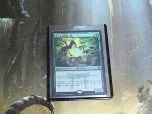 MTG 迷える探求者、梓/Azusa, Lost but Seeking Foil 日 1枚迄 A25