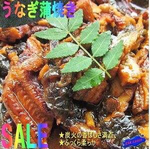 「うなぎ蒲焼、切り落し500ｇ」ふっくら柔らか/職人造、炭焼き