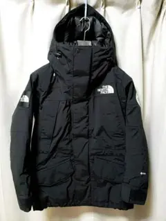 THE NORTH FACE Antarctica Parka ND92238