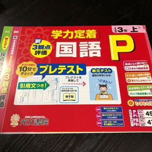 2048 国語P 3年 光文書院 小学 ドリル 問題集 テスト用紙 教材 テキスト 解答 家庭学習 計算 漢字 過去問 ワーク 勉強 非売品