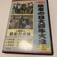 沖縄闘牛DVD