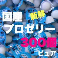 昆虫ゼリー プロゼリー300クワガタ・カブトムシ・ハムスター・モモンガ・小動物C