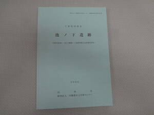 ひ1-f07【匿名配送・送料込】　池ノ下遺跡　千葉県印西市　　財団法人印旛郡市文化財センター　発掘調査報告書　260　2008