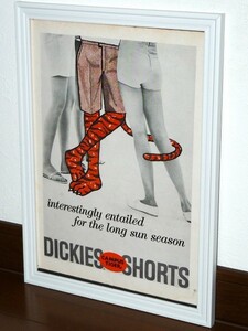 1963年 USA vintage 洋書雑誌広告 額装品 Dickies ディッキーズ Campus Tiger Shorts (A4size) / 検索用 店舗 ガレージ ディスプレイ 看板