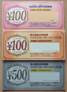 ☆最新☆ ブックオフ グループ ホールディングス 株主優待 お買物券 4300円分 有効期間2025.8.31 送料\110~