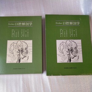 ★【Sicher 口腔解剖学】尾崎公(他訳)★医歯薬出版株式会社★1986年第1版第1刷発行★