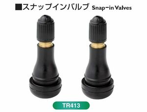 ゆうパケット無料！日本製 新品 太平洋工業 TR413 CL パッキン付き 2個セット エアバルブ タイヤバルブ TR413CL スナップインバルブ