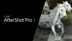 無期限ライセンス Corel After Shot Pro 3 Go Pro 12 写真編集ソフト 写真販売副業 windows MAC 対応 Adobe Lightroom アドビ ライトルーム