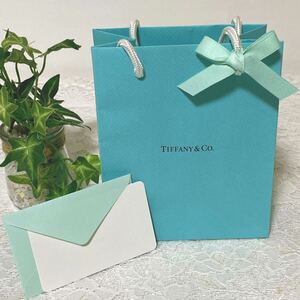 ティファニー「TIFFANY&Co.」ミニショッパー アクセサリー箱サイズ 現行 (4047) 正規品 付属品 ショップ袋 ブランド紙袋 折らずに配送 