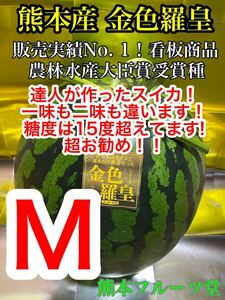 絶品！熊本産【金色羅皇】秀品Mサイズ（1玉5〜6kg）熊本フルーツ堂62