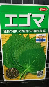 ３袋セット エゴマ シソ の仲間 焼肉に えごま 種 郵便は送料無料