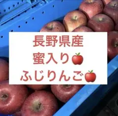 ★本日朝採れ　長野県産　サンふじ　りんご　蜜入り　3キロ　家庭用　甘い　数量限定