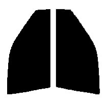 スーパーブラック　5％ 運転席、助手席　レガシィワゴン BG　カット済みフィルム　国産
