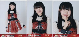 AKB48 小林蘭 第8回 AKB48紅白対抗歌合戦 生写真 3種コンプ