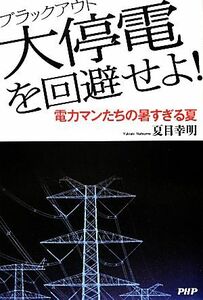 大停電を回避せよ！ 電力マンたちの暑すぎる夏/夏目幸明【著】