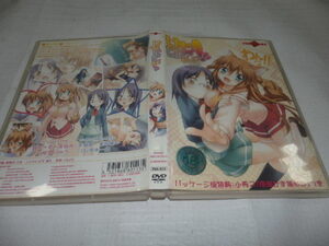 美少女 PC ソフト Windows2000/XP/Vista　DVDソフト けもぱにっ!DVD-ROM版　G3/428