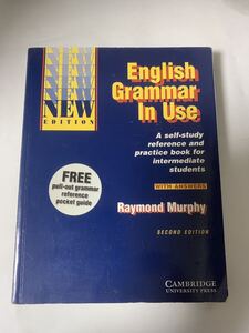 English Grammar in Use Book with Answers and Interactive A Self-Study Reference and Practice Book for Intermediate Students