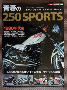 ★青春の250SPORTS★ミスターバイクBG タイムスリップシリーズ★RZ250/VT250F/RG250Γ/TZR250/NSR250/KR250/FZ250/CBR250RR and More