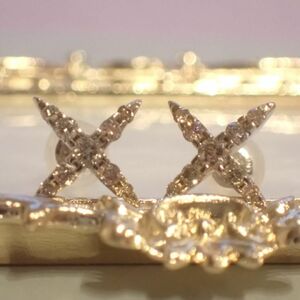 カシケイ　ネイキッド　ピアス　K18BG 0.40ct