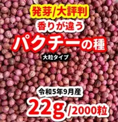 パクチー（大粒タイプ）の種【2000粒】★農家さんもリピーター