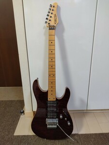 SCHECTER NV-III-24 2008年製