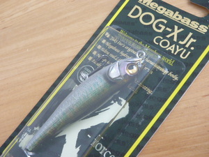 新品 メガバス Megabass ドッグＸ Jr. コアユ DOG-X Jr. COAYU 限定カラー Limited Color SP-C GG OIKAWA (M)