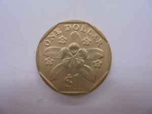 【外国銭】シンガポール 1ドル 1995年 古銭 硬貨 コイン ②