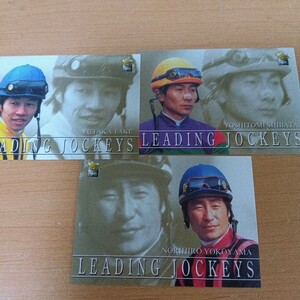 JRA トレカカードコレクション競馬 レジェンド騎手 武豊 横山典弘 柴田善臣 未使用 3枚カードセット ウマ娘