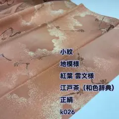 小紋 地模様 紅葉 雲文様 江戸茶（和色辞典）正絹 k026